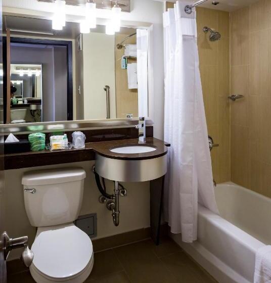 Номер Deluxe, Holiday Inn Houston Downtown, An Ihg