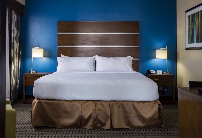 Номер Стандарт, Holiday Inn Houston Downtown, An Ihg