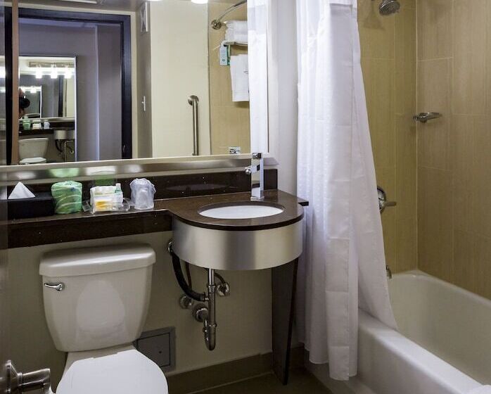 Номер Стандарт 2 Двуспальные Кровати, Holiday Inn Houston Downtown, An Ihg