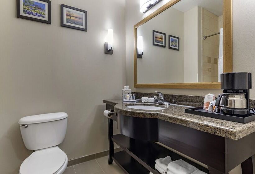 Номер Стандарт, La Quinta Inn & Suites By Wyndham Durant
