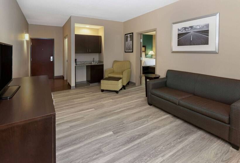 Номер Стандарт, La Quinta Inn & Suites By Wyndham Durant