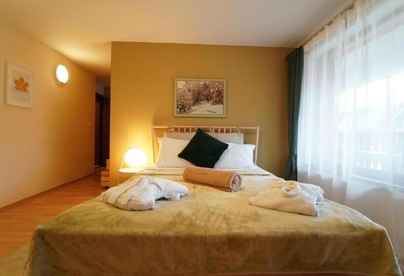 Апартаменты Deluxe 2 Спальни, Pirin River Ski, Fun And Family