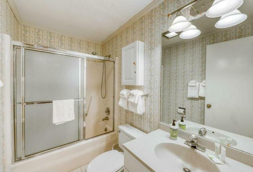 Апартаменты 1 Спальня, Bromley Mountain Condo