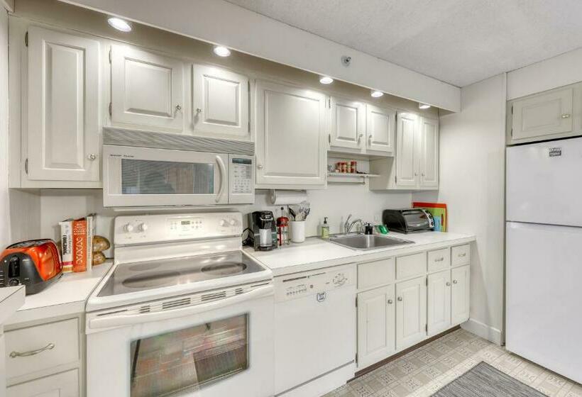 Апартаменты 1 Спальня, Bromley Mountain Condo