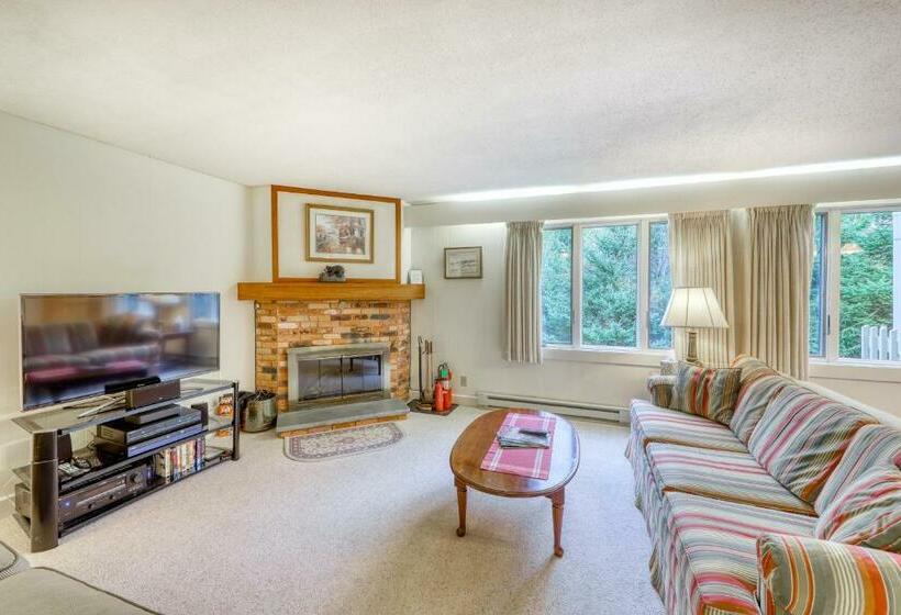 Апартаменты 1 Спальня, Bromley Mountain Condo