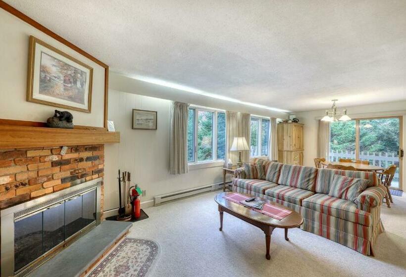 Апартаменты 1 Спальня, Bromley Mountain Condo