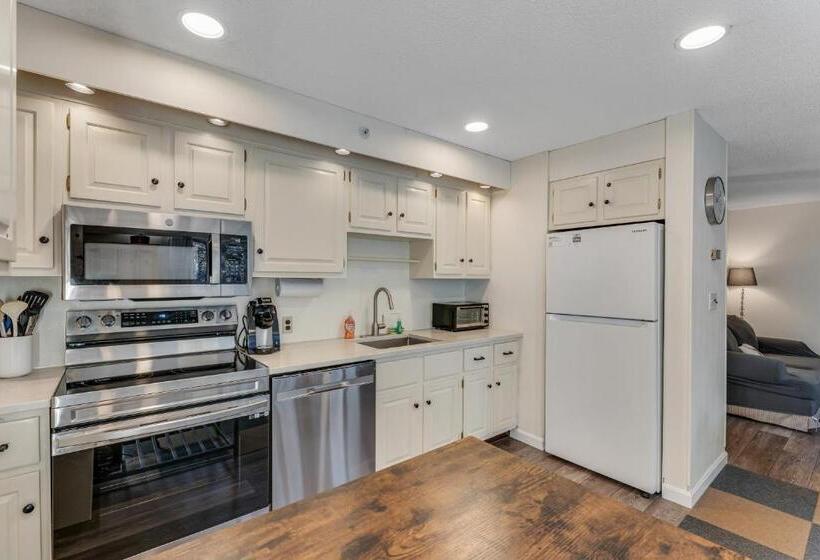 Апартаменты 1 Спальня, Bromley Mountain Condo
