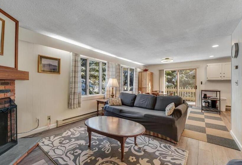 Апартаменты 1 Спальня, Bromley Mountain Condo