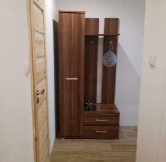 Студия Стандарт, Wiking