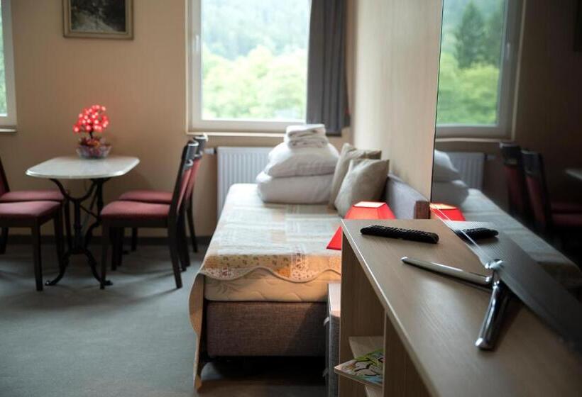 Апартаменты Deluxe 1 Спальня, 4family Resortspa