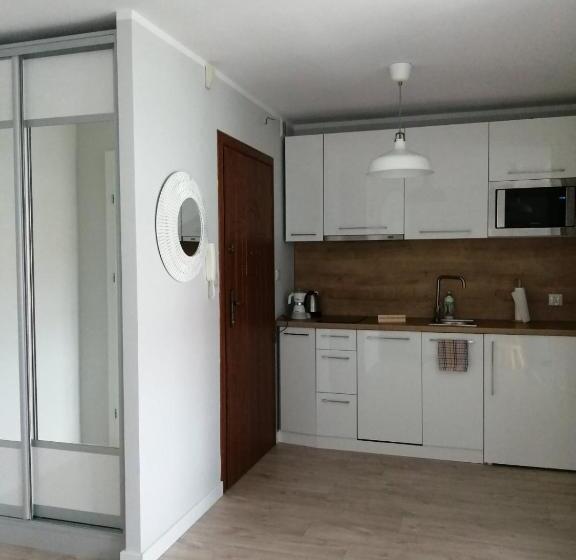 Апартаменты 1 Спальня, Apartamenty Liliowa 3