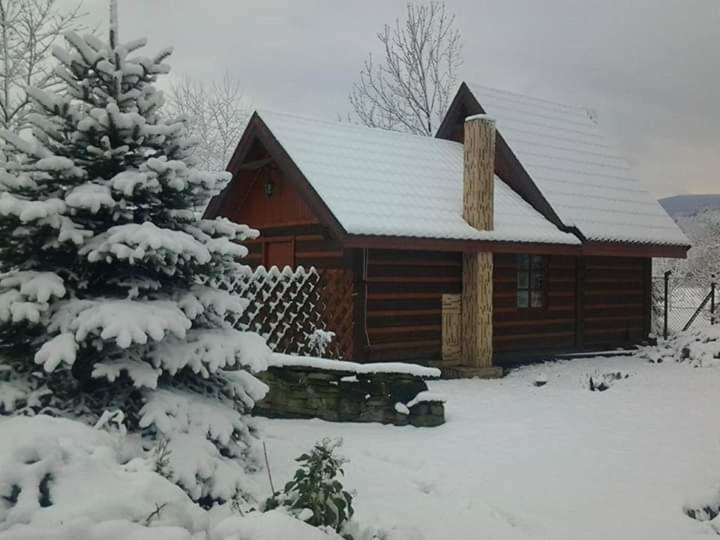 Семейный Номер Вид на Сад, Agroturystyka W Ogrodach