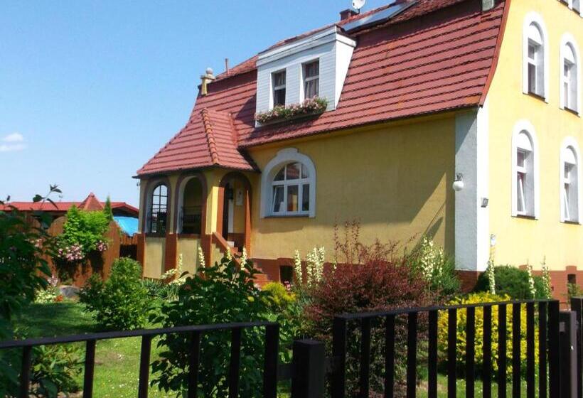 Номер Стандарт, Góściniec Iwona