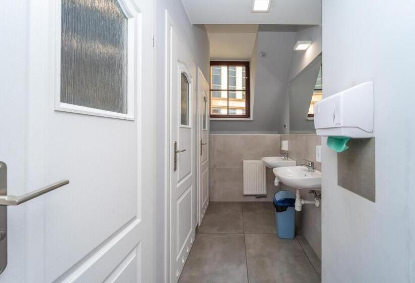 اتاق استاندارد با تخت بزرگ, Hostel Universus