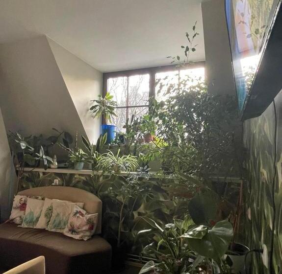 اتاق استاندارد, Hostel Universus