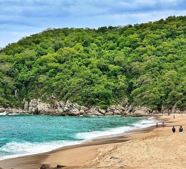 スタンダードスタジオ, Huatulco Hermoso
