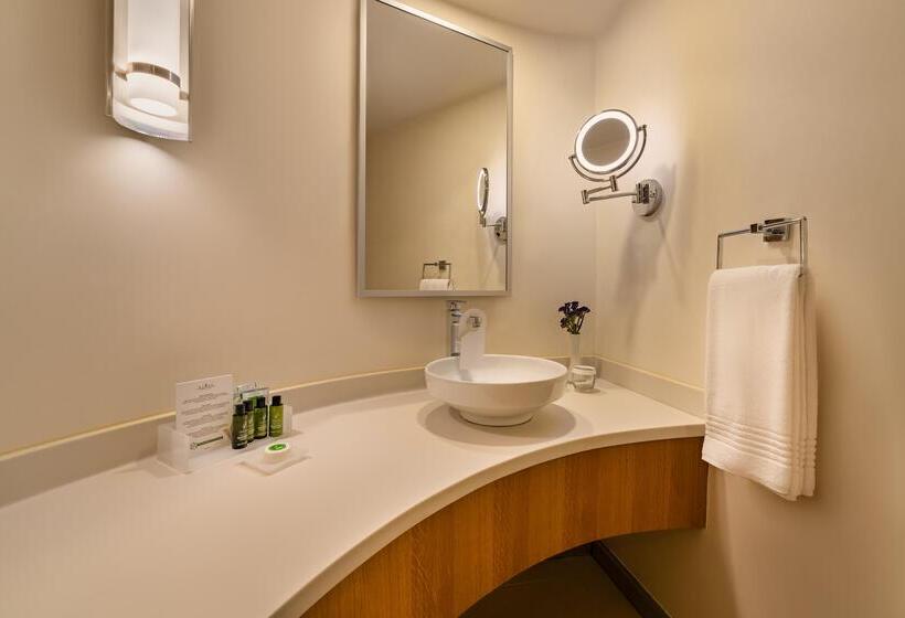 Семейный Номер, Rixos Park Belek, The Land of Legends Access