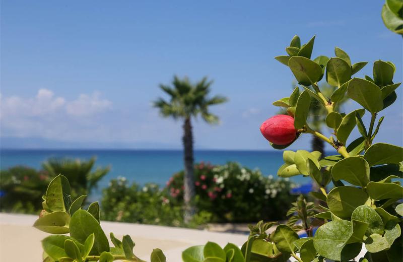 سوییت با چشم‌انداز دریا, Hodges Bay Resort & Spa