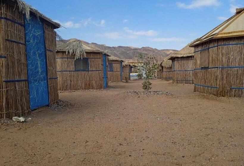اتاق استاندارد با چشم‌انداز دریا, Abo Hamada Azure Camp