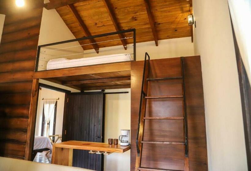 اتاق خانوادگی, Cotan Ecolodge