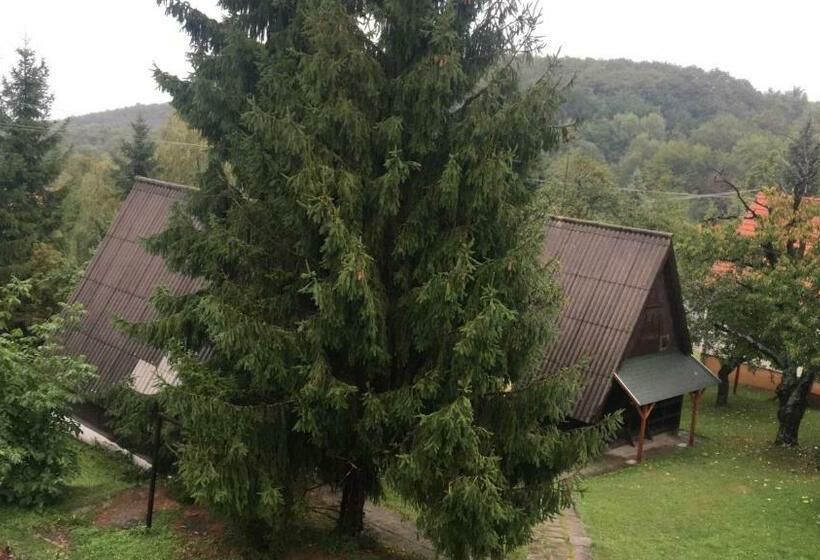 Апартаменты 1 Спальня с Видом, Mátrai Vándor Apartmanok