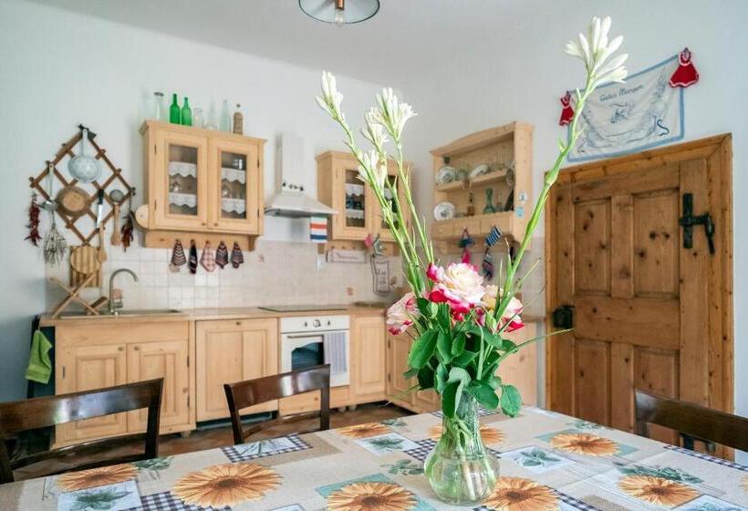 Апартаменты 2 Спальни, Villa Rihuini Eco Wine House Transylvania
