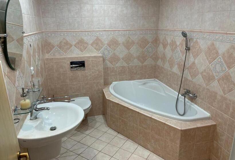 带1个卧室的带阳台的公寓, Pálava House Mikulov