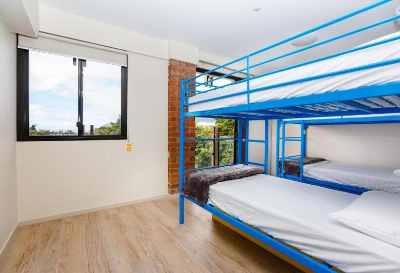Säng i Delat Rum, Global Backpackers Cairns