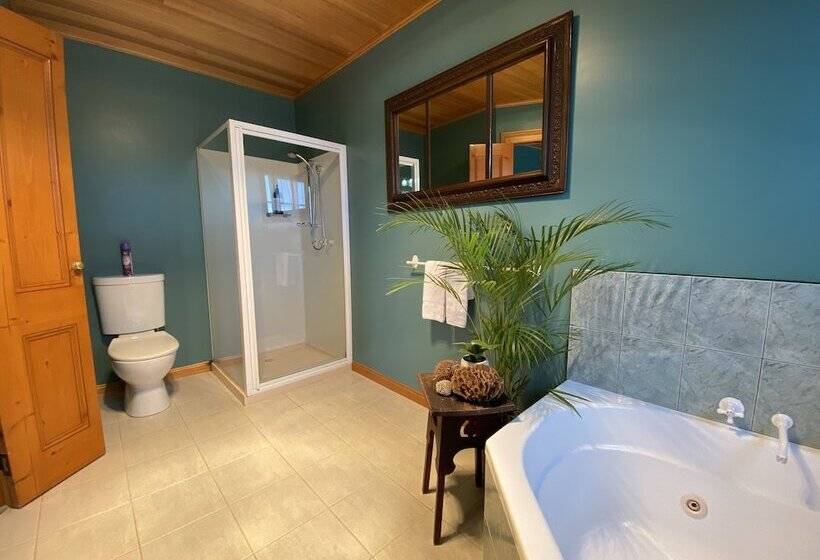 Люкс с Видом, Hanlon Guest House