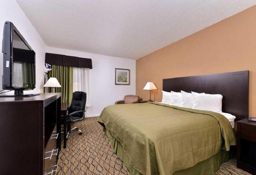 キングサイズベッドのスタンダードルーム, Quality Inn & Suites Matteson Near I57