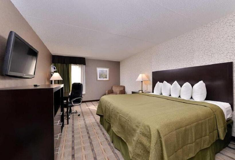 キングサイズベッドのスタンダードルーム, Quality Inn & Suites Matteson Near I57