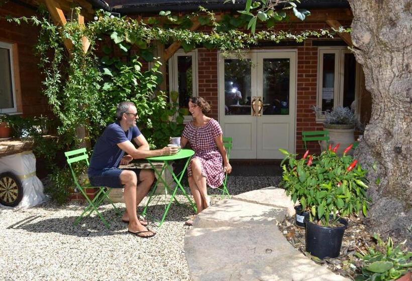 غرفة كلاسيكية, The Kingsley At Eversley