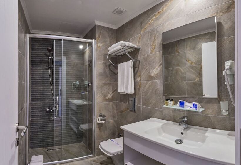 Номер Deluxe, Inntel Hotel Istanbul
