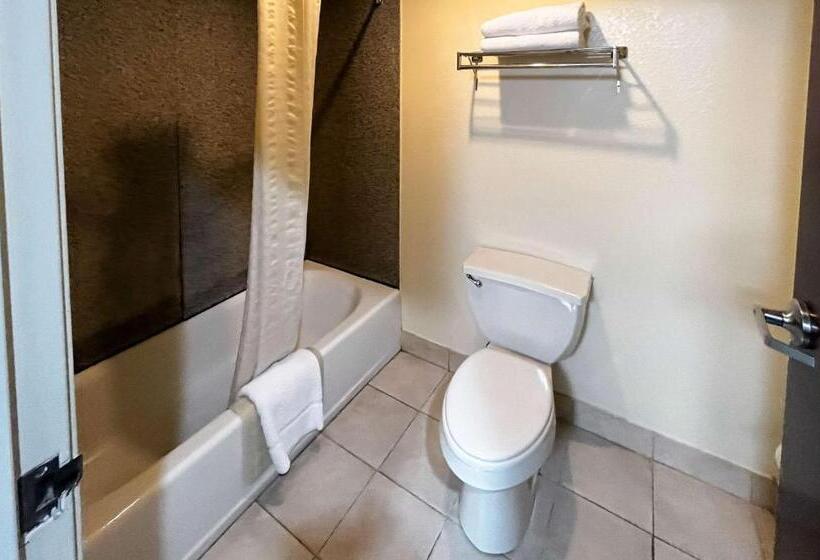 Стандартный Номер Кровать Кинг, Executive Inn & Suites Breaux Bridge, La