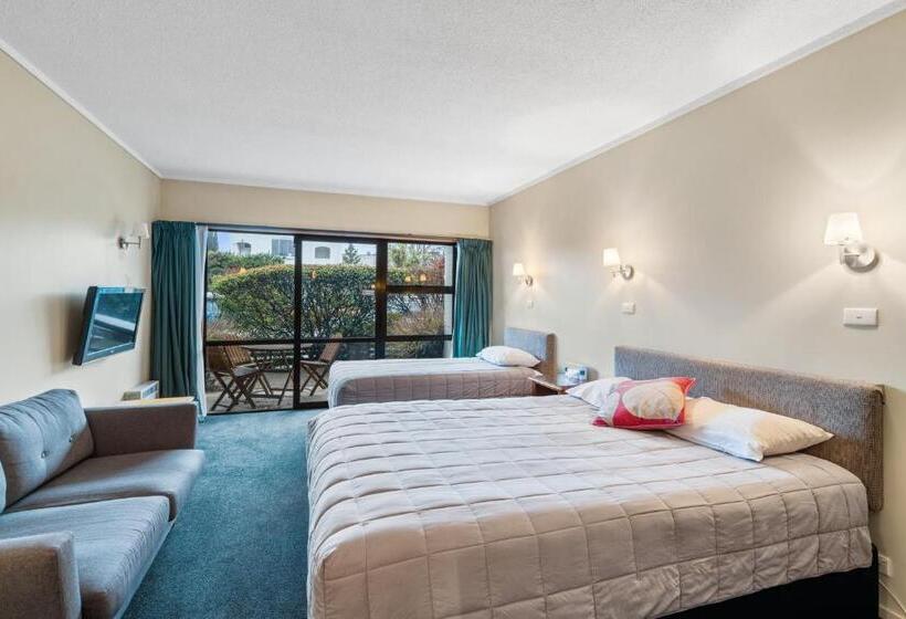 스탠다드 룸, Aspiring Lodge Motel