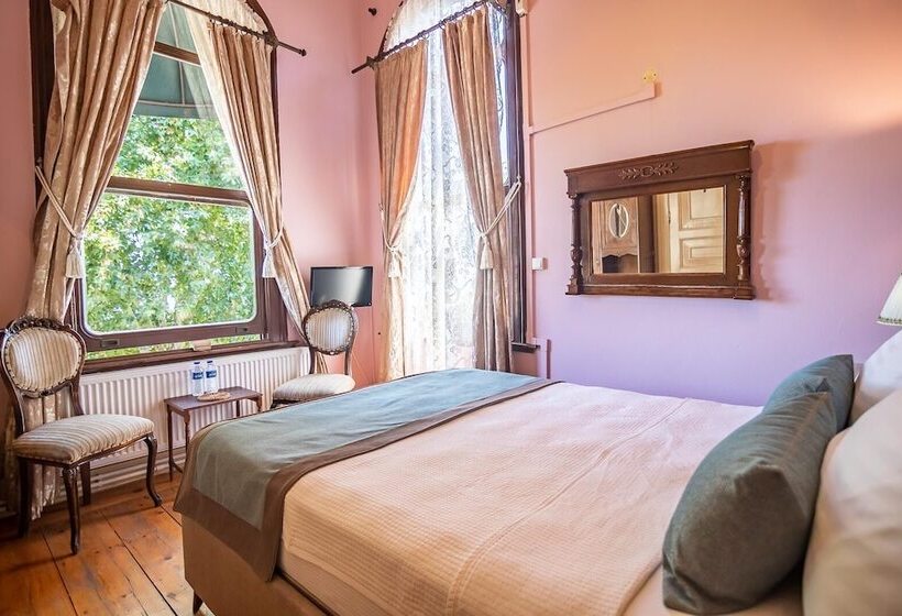 Номер Комфорт Вид на Море, Büyükada Anastasia Meziki History Mansion