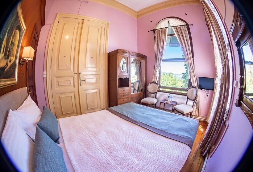 غرفة كومفورت مطلة علي البحر, Büyükada Anastasia Meziki History Mansion