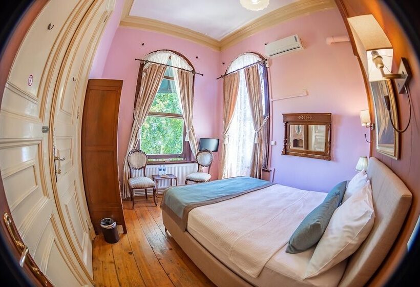 غرفة كومفورت مطلة علي البحر, Büyükada Anastasia Meziki History Mansion