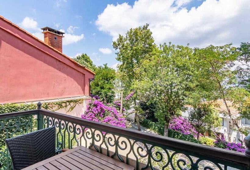 جناح عائلي غرفتين نوم, Büyükada Anastasia Meziki History Mansion