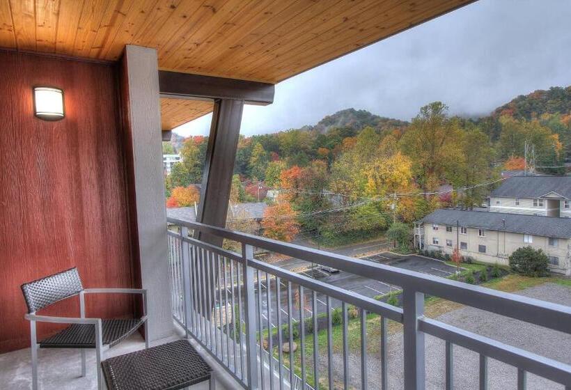 Studio Standard, Courtyard By Marriott Gatlinburg Downtown