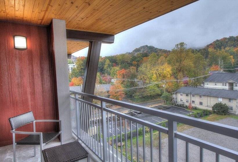 Pokój Standard 2 Łóżka Małżeńskie, Courtyard By Marriott Gatlinburg Downtown