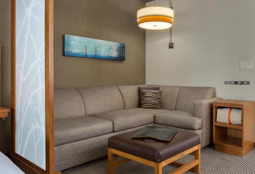 스탠다드 룸 킹사이즈 침대, Hyatt Place Chicago/downtown The Loop