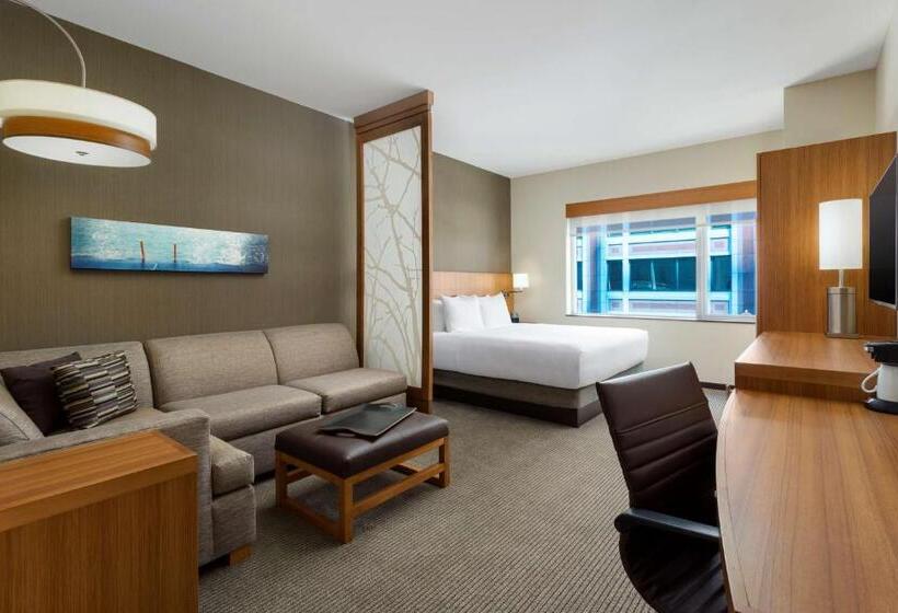 Standard Værelse King Size Seng, Hyatt Place Chicago/downtown   The Loop