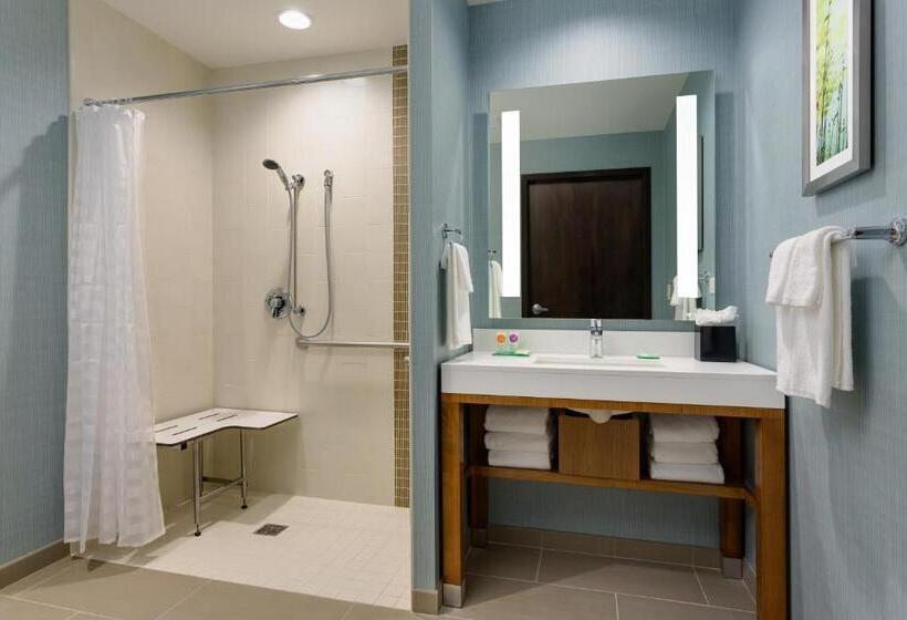 Standard Værelse Tilpasset til Handicappede, Hyatt Place Chicago/downtown   The Loop