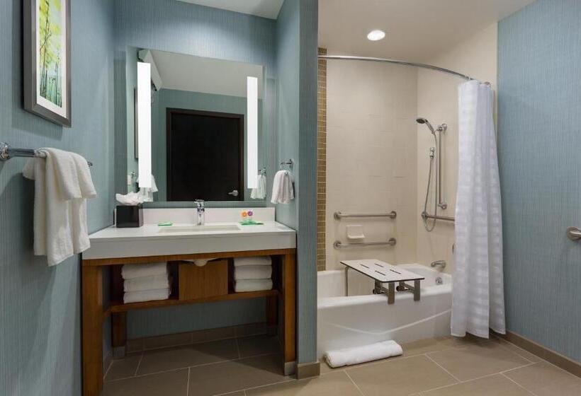 장애인을 위한 스탠다드 룸, Hyatt Place Chicago/downtown The Loop