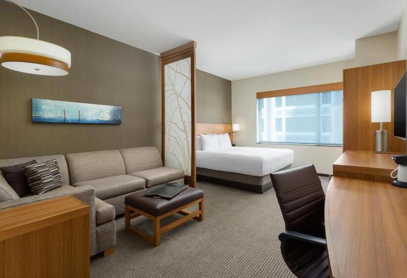 스탠다드 룸 킹사이즈 침대, Hyatt Place Chicago/downtown The Loop