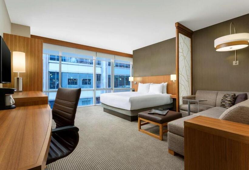 스탠다드 룸 킹사이즈 침대, Hyatt Place Chicago/downtown The Loop