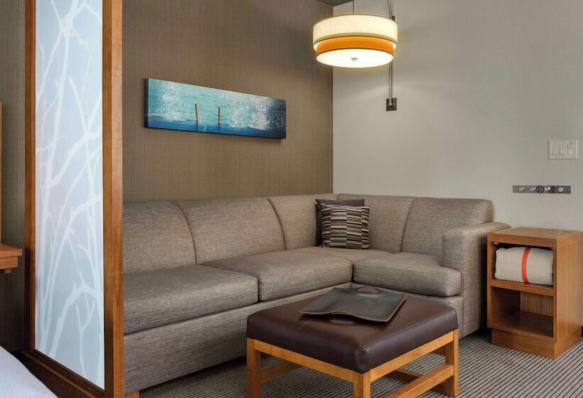 장애인을 위한 스탠다드 룸, Hyatt Place Chicago/downtown The Loop