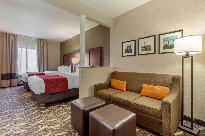 스탠다드 룸 킹사이즈 침대, Hampton Inn Broussardlafayette Area