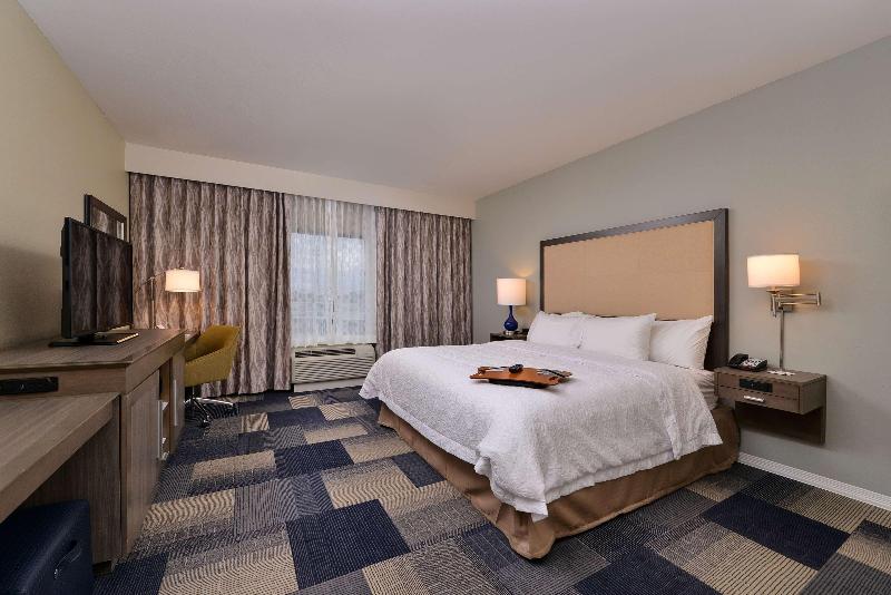 스탠다드 룸 킹사이즈 침대, Hampton Inn Broussardlafayette Area